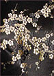 Additional Image - Gold Leaf Gown