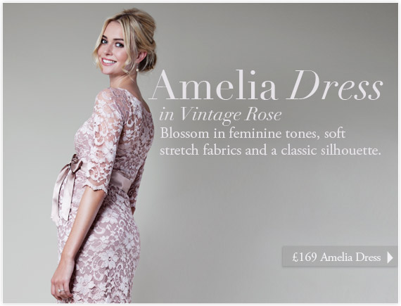 Amelia Dress Short (Vintage Rose) by Tiffany Rose