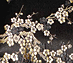 View additional images of Gold Leaf Gown