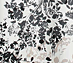 View additional images of Silk Latina