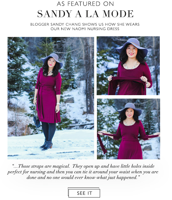 Introducing Our New Naomi Nursing Dress