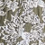 Olive / White