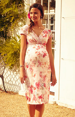 Bardot Maternity Shift Dress English Rose