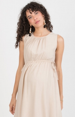 formal dress for nursing mom Sarah Empire Maternity & Nursing Petite Dress