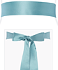 Smooth Satin Sash Long (Peppermint) by Tiffany Rose