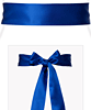 Smooth Satin Sash Royal Blue by Tiffany Rose