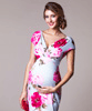 Bardot Maternity Shift Dress Grand Jardin by Tiffany Rose