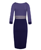 Colour Block Maternity Dress Wild Blueberry by Tiffany Rose