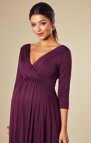 Willow Maternity Dress Short Claret by Tiffany Rose