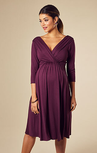 Willow Maternity Dress Short Claret by Tiffany Rose