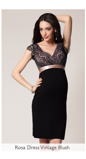 Rosa Dress Vintage Blush