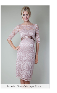 Amelia Dress Vintage Rose